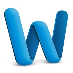 MS Word File